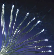 LED minisnoer 10 lampjes blauw