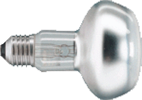 philips reflectorlamp e80 40W e27